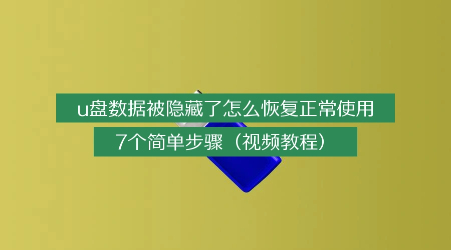 u盘数据被隐藏了怎么恢复正常使用,7个简单步骤(视频教程)