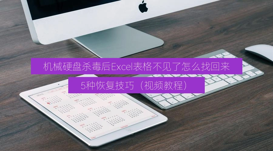机械硬盘杀毒后Excel表格不见了怎么找回来,5种恢复技巧(视频教程)