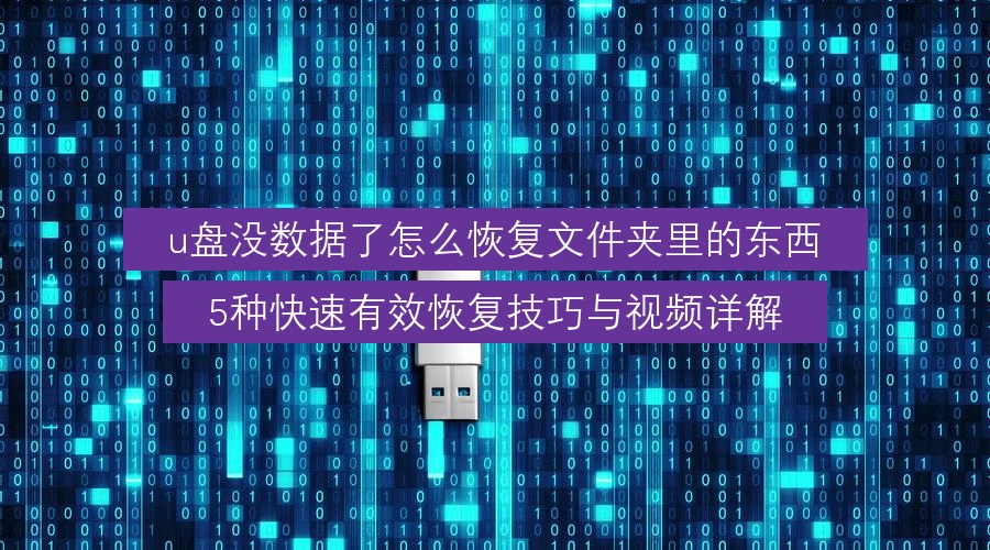 u盘没数据了怎么恢复文件夹里的东西,5种快速有效恢复技巧与视频详解