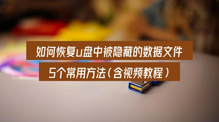 如何恢复u盘中被隐藏的数据文件,5个常用方法(含视频教程)