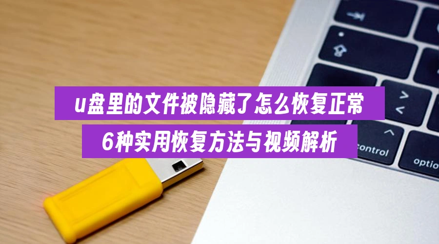 u盘里的文件被隐藏了怎么恢复正常，6种实用恢复方法与视频解析