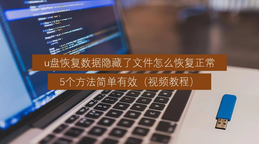 u盘恢复数据隐藏了文件怎么恢复正常，5个方法简单有效（视频教程）