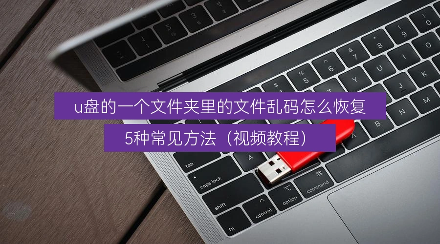 u盘的一个文件夹里的文件乱码怎么恢复，5种常见方法（视频教程）