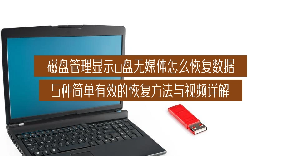 磁盘管理显示u盘无媒体怎么恢复数据，5种简单有效的恢复方法与视频详解