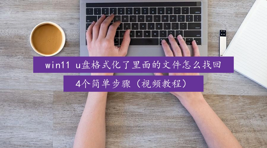 win11 u盘格式化了里面的文件怎么找回,4个简单步骤(视频教程)