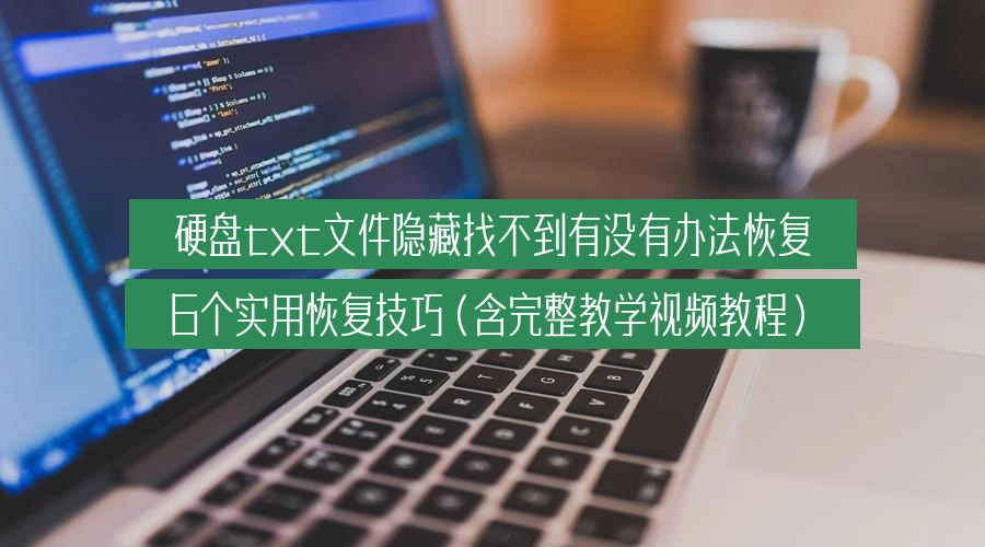 硬盘txt文件隐藏找不到有没有办法恢复，6个实用恢复技巧（含完整教学视频教程）
