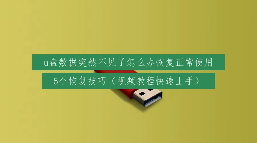u盘数据突然不见了怎么办恢复正常使用，5个恢复技巧（视频教程快速上手）